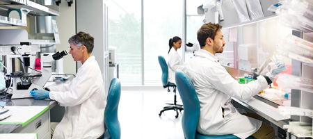 Three lab researchers working in a research laboratory.